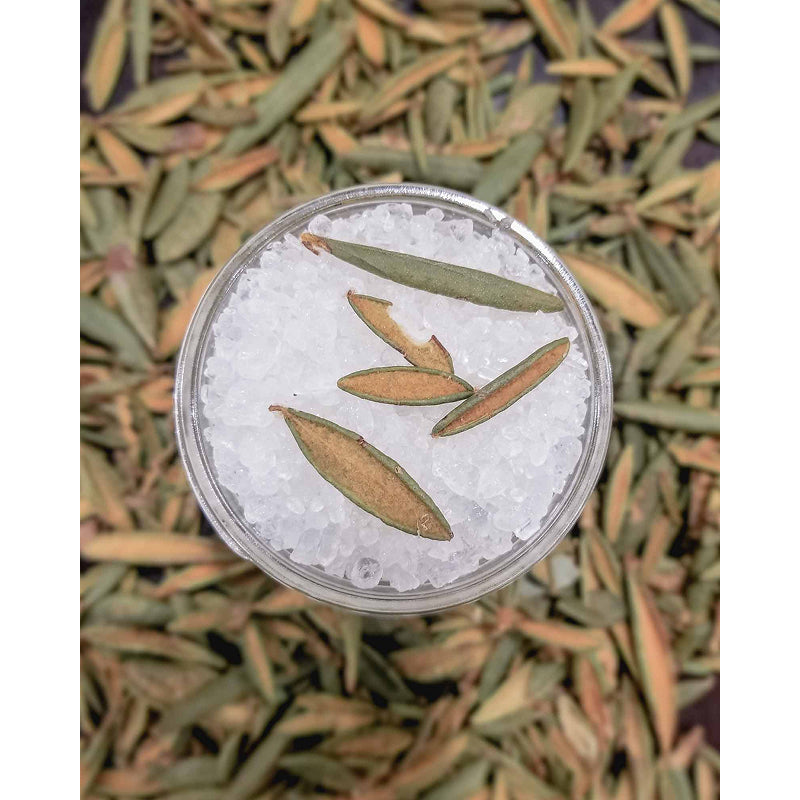 Wildwood Creek Woodland Grounding Mini Natural Spa Bath Soak