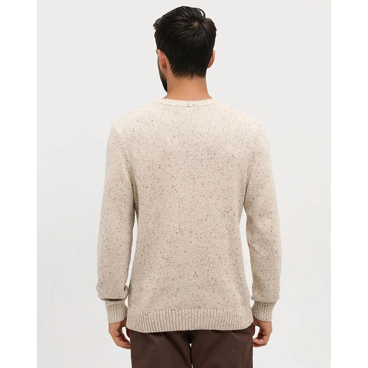 Tentree Men's Rambler Fleck Sweater