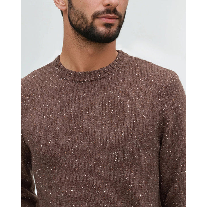 Tentree Men's Rambler Fleck Sweater