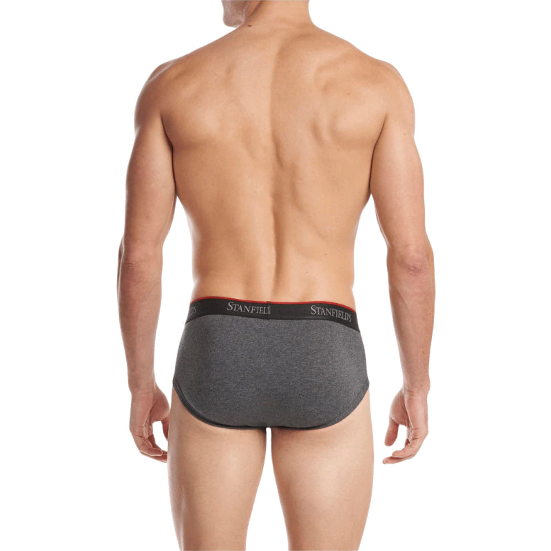 Stanfields Men's Stretch Cotton Brief - 3 Pack – Take It Outside