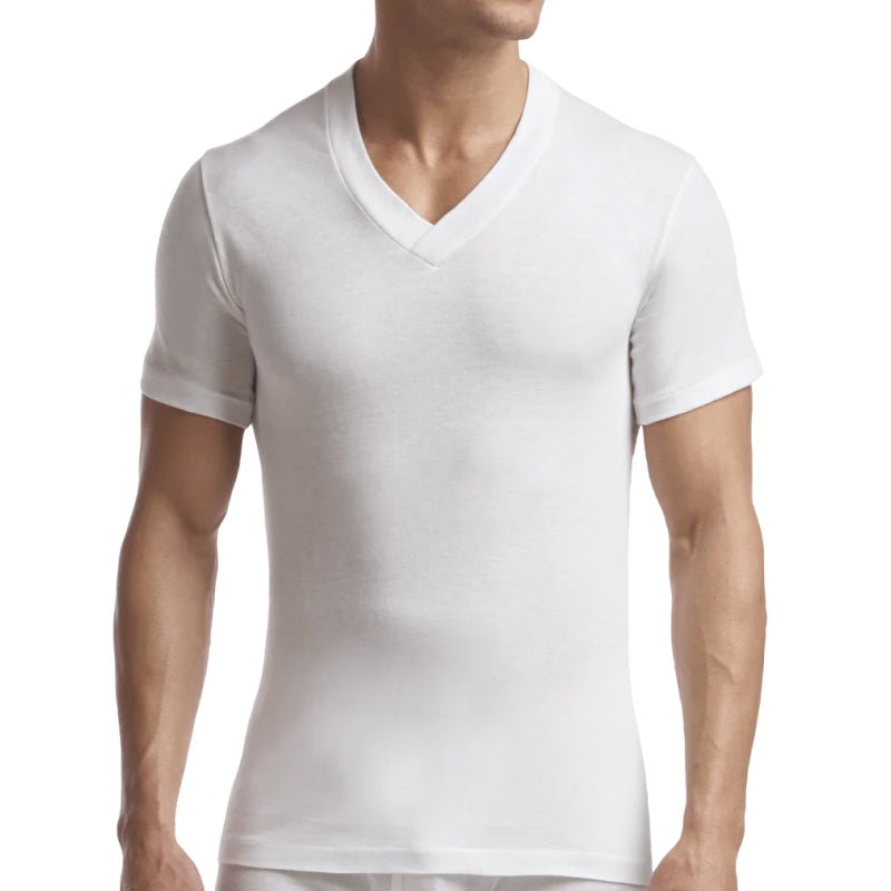 Stanfields Men's Supreme V-Neck T-Shirt - 2 Pack