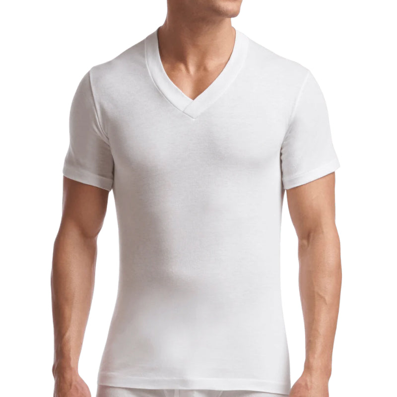 Stanfields Men's Tall Supreme V-Neck T-Shirt - 2 Pack