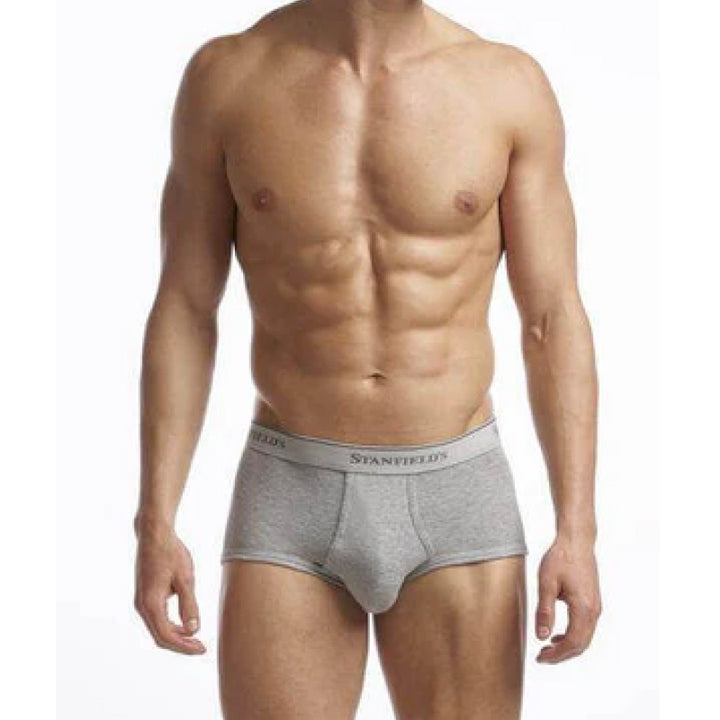 Stanfields Men's Supreme Brief - 2 Pack