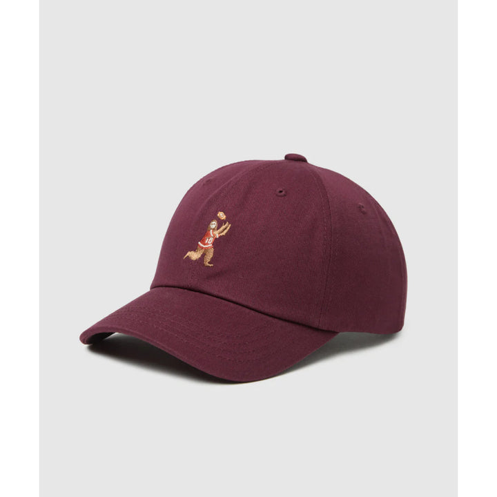 Tentree Sasquatch Peak Hat