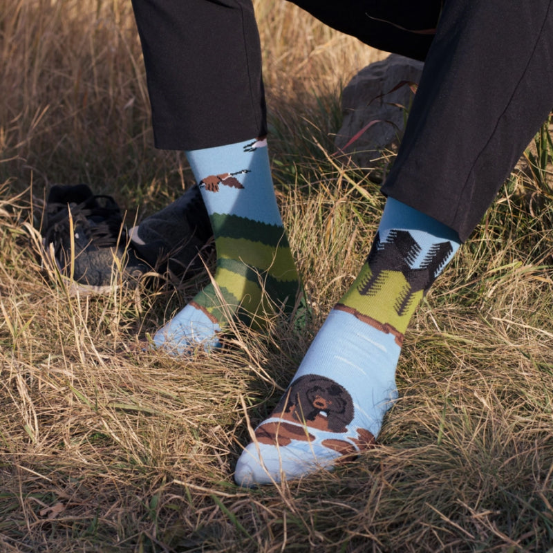 Friday Sock Co. - Men's Canadian Shield Canadian Landscape Socks