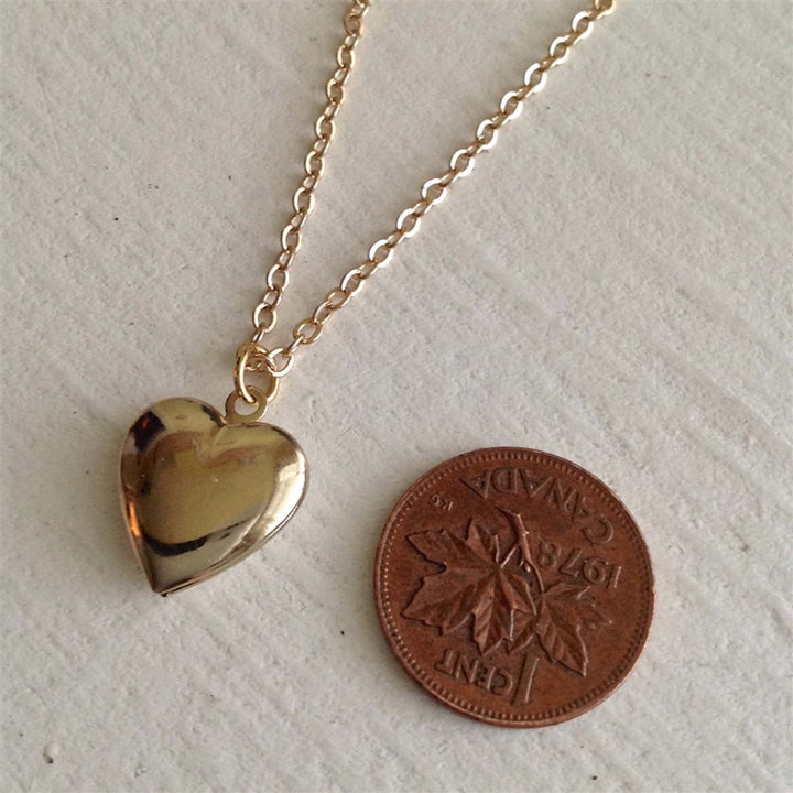Pika & Bear "Total Eclipse of the Heart" Tiny Heart Shaped Locket in Gold