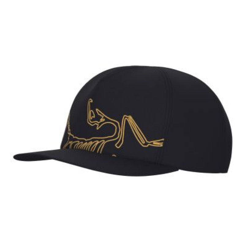 Arc'Teryx Silex Cap
