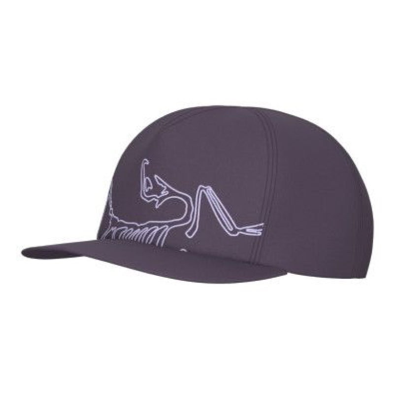 Arc'Teryx Silex Cap