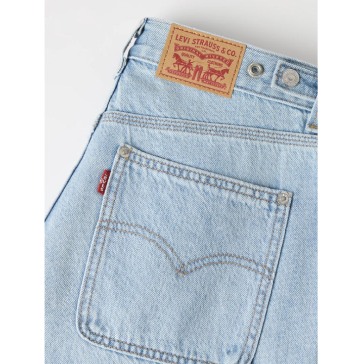 Levi's Cinch Baggy Carpenter