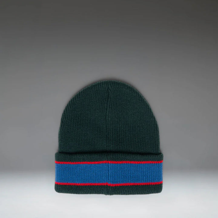 Herschel Ribbed Vintage Stripe Elmer Beanie