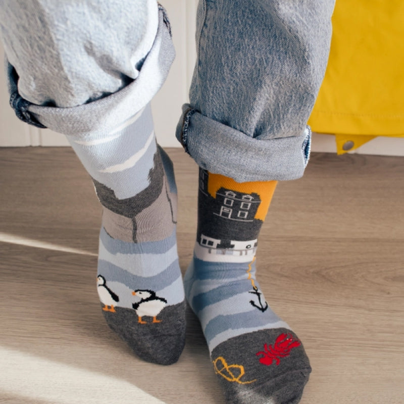 Friday Sock Co. - Women's East Coast Canadian Landscape Socks