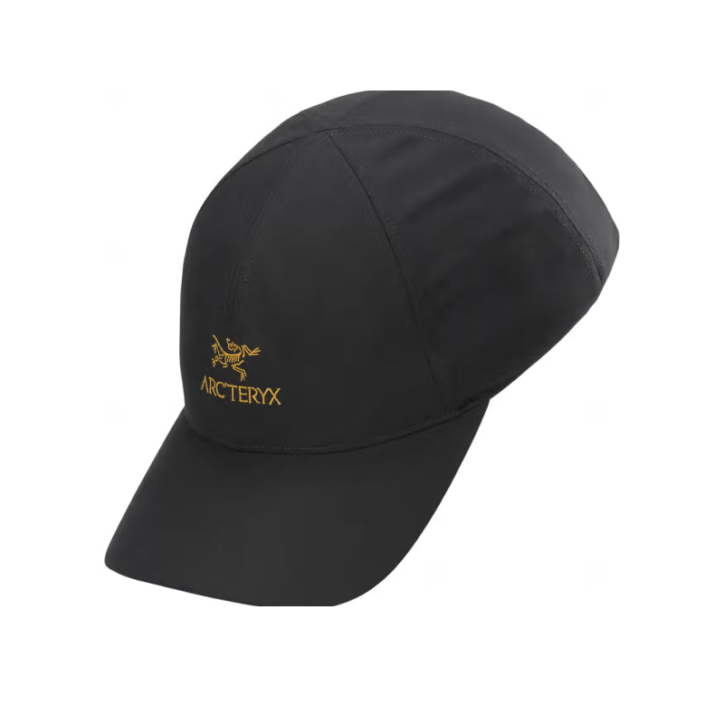 Casquette Arc'teryx Bird Word