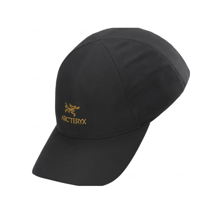 Casquette Arc'teryx Bird Word