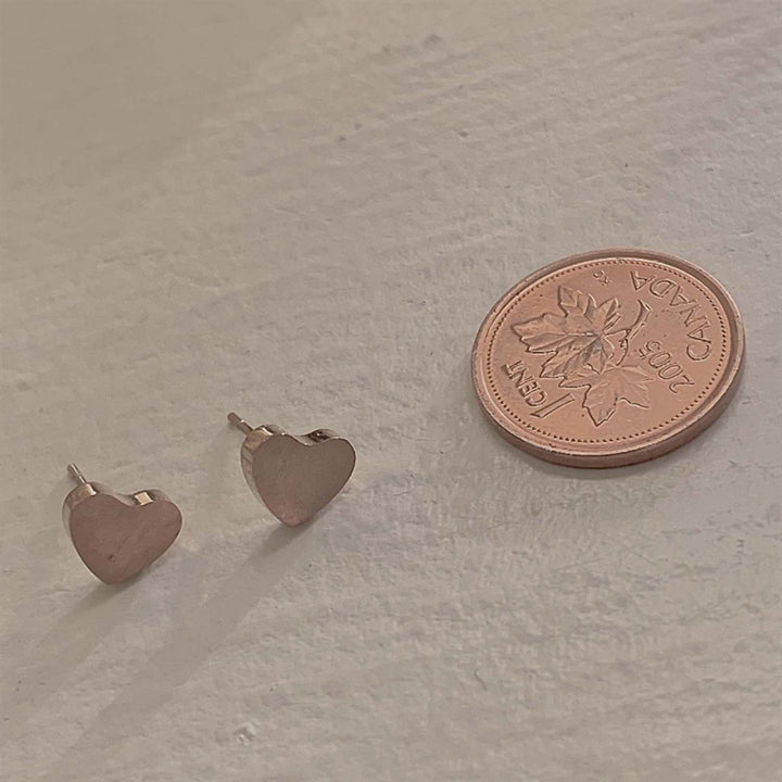 Pika & Bear "Total Eclipse of the Heart" Heart Stud Earrings