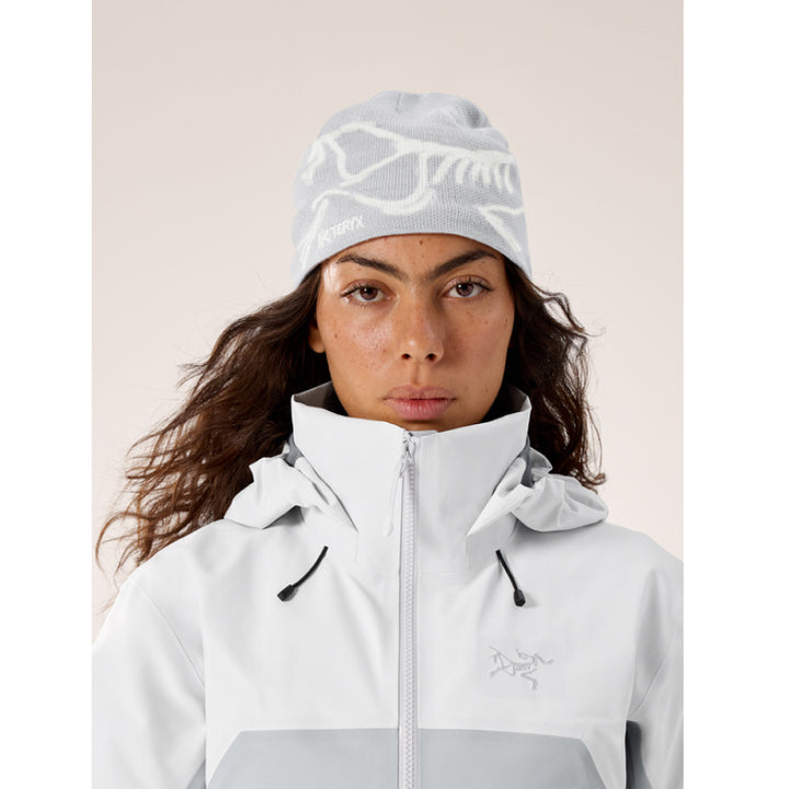 Arc'teryx Bird Head Toque