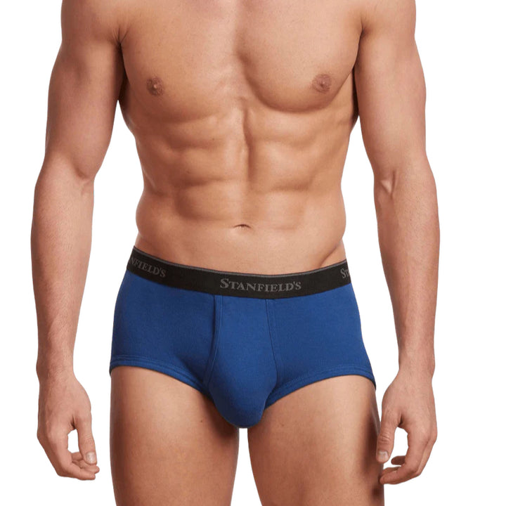 Stanfields Men's Premium Brief - 3 Pack