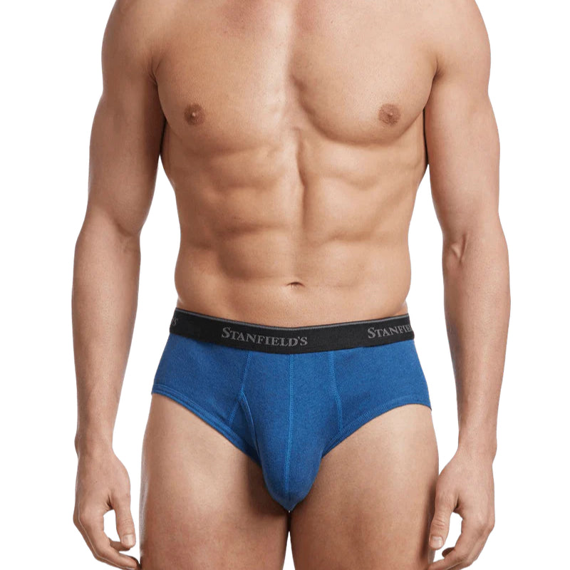 Stanfields Men's Premium Modern Fit Brief - 2 Pack