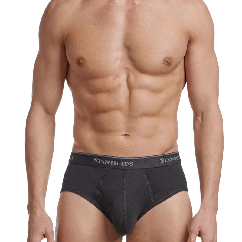 Stanfields Men's Premium Modern Fit Brief - 2 Pack