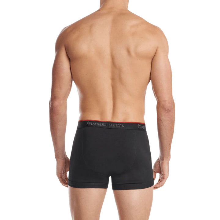 Stanfields Men's Stretch Trunk - 2 Pack