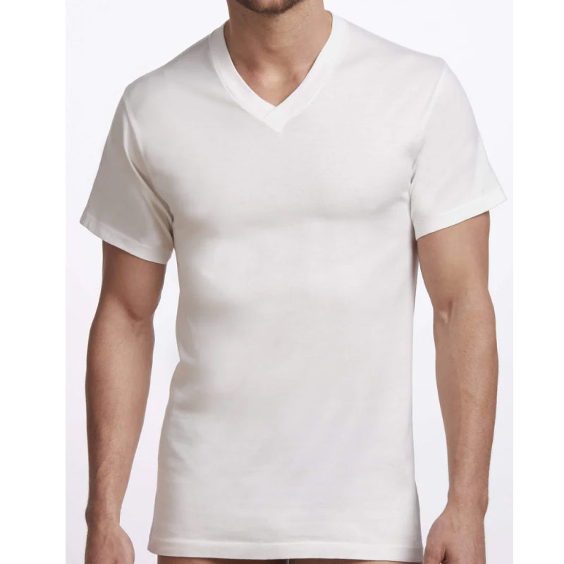 Stanfields Men's Premium V-Neck T-Shirt - 2 Pack