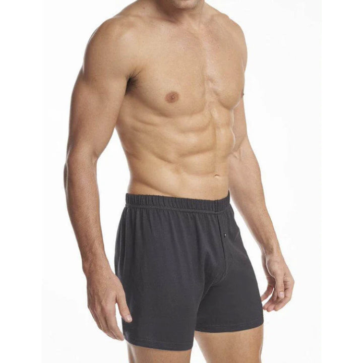 Stanfields Men's Premium Boxer - 2 Pack