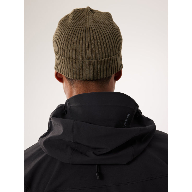 Arc'teryx Skaha Toque