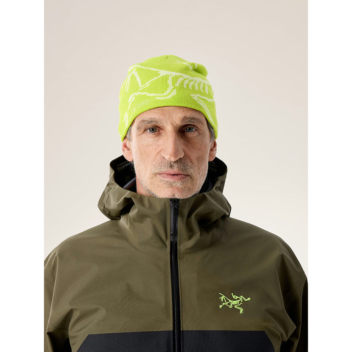 Arc'teryx Bird Head Toque