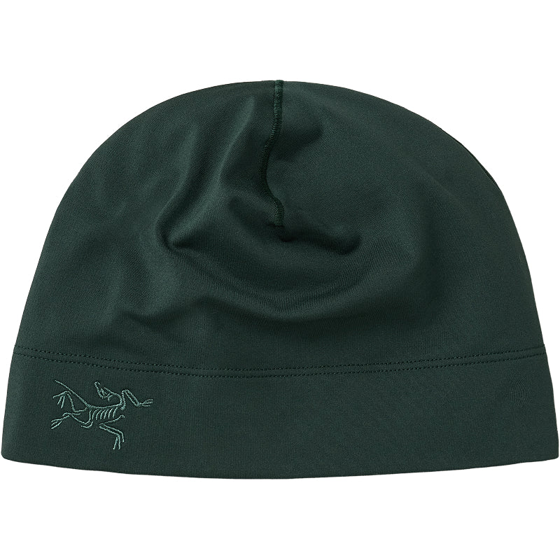Arc'Teryx Rho Toque