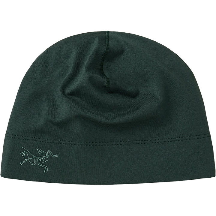 Arc'Teryx Rho Toque