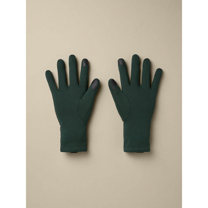 Gant Arc'teryx Rho