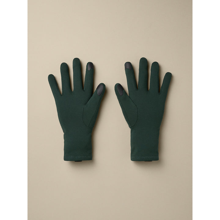 Gant Arc'teryx Rho