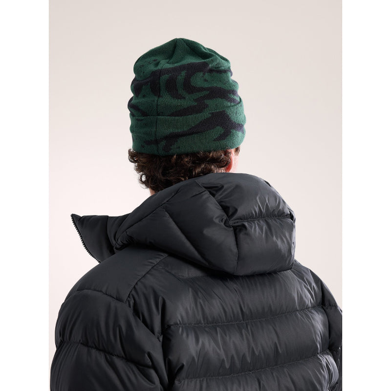 Arc'teryx Grotto Toque