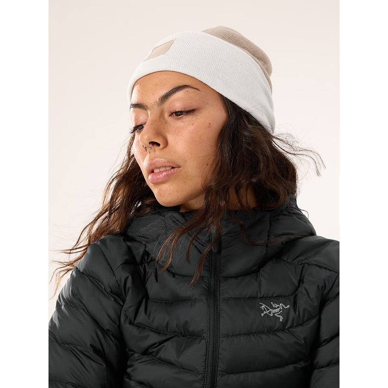 Arc'teryx Colour Block Toque