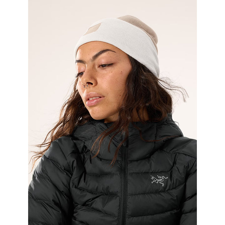Arc'teryx Colour Block Toque