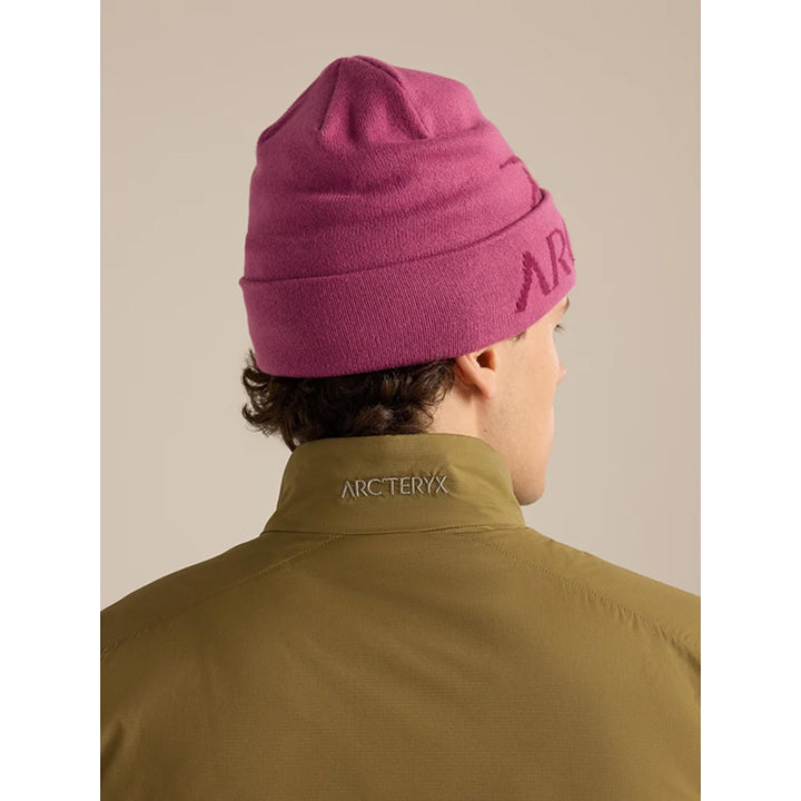 Bonnet Arc'teryx Bird Word
