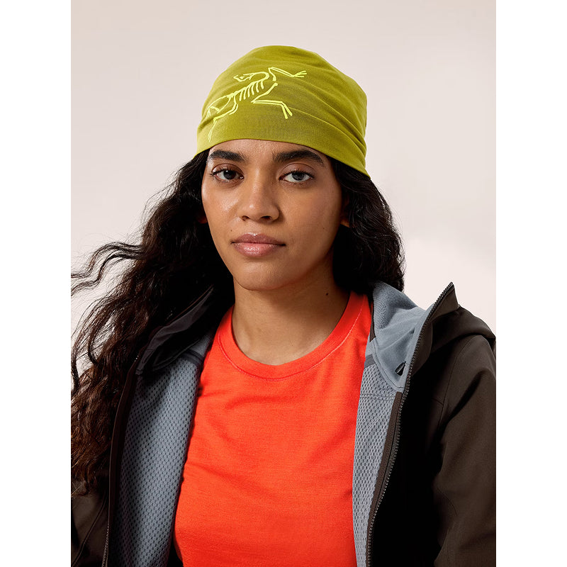 Arc'teryx Satoro Merino Toque