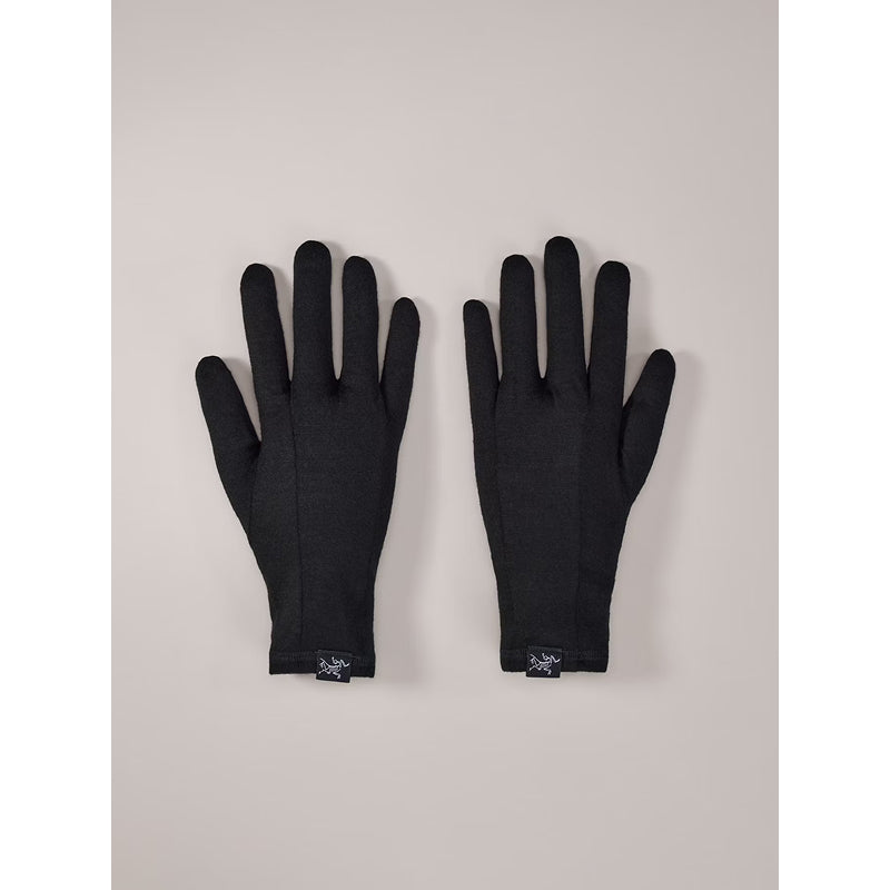Arc'teryx Gothic Glove