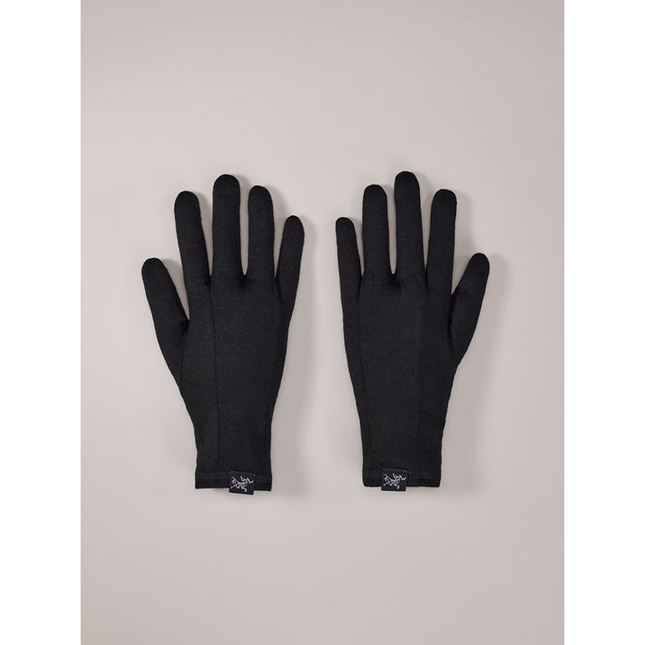 Arc'teryx Gothic Glove