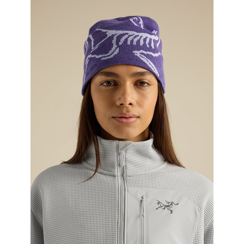 Bonnet à tête d'oiseau Arc'teryx