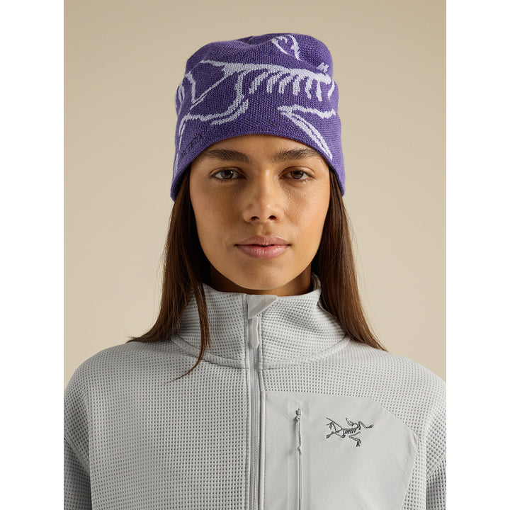 Bonnet à tête d'oiseau Arc'teryx