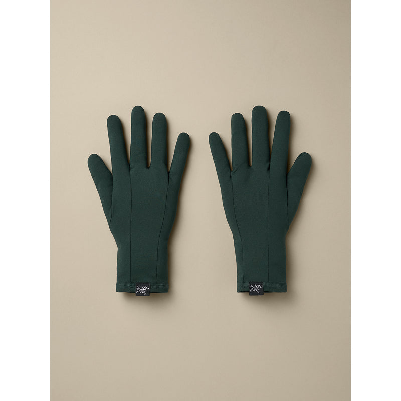 Gant Arc'teryx Rho