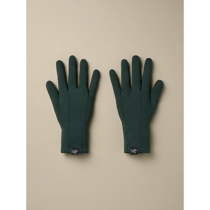 Gant Arc'teryx Rho