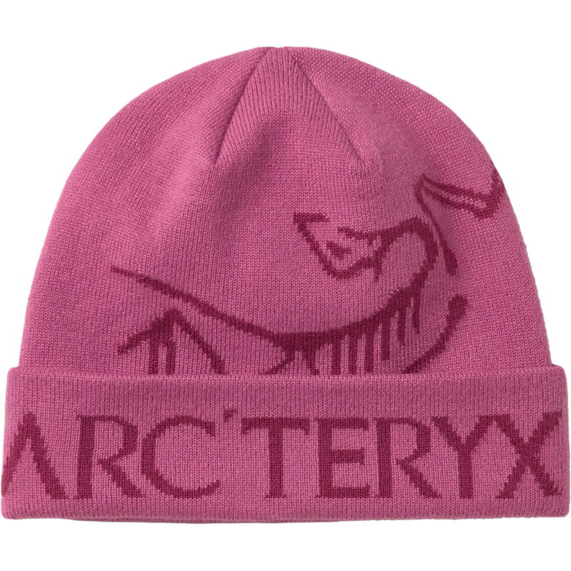 Bonnet Arc'teryx Bird Word
