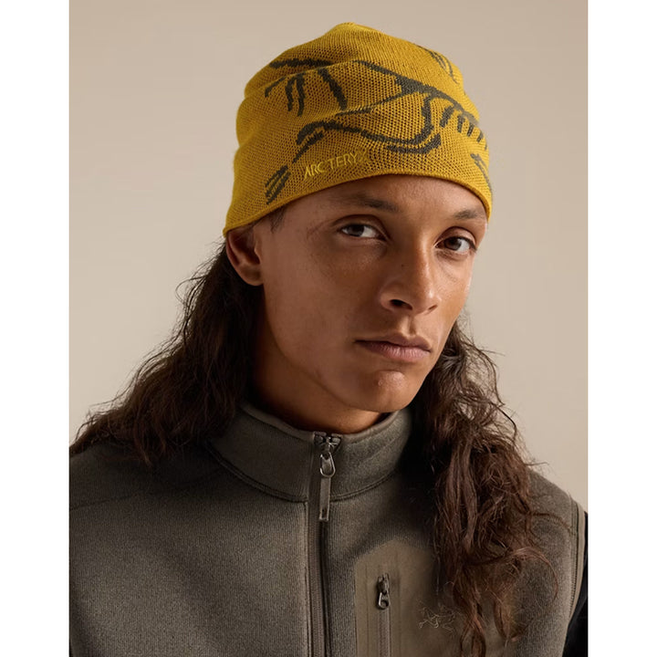 Arc'teryx Bird Head Toque