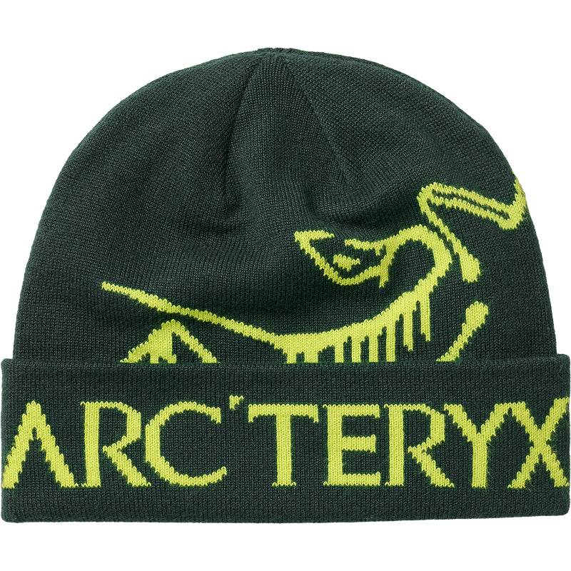 Bonnet Arc'teryx Bird Word