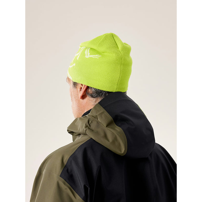 Arc'teryx Bird Head Toque