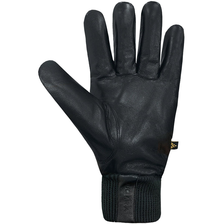 Auclair Jack Gloves - Men