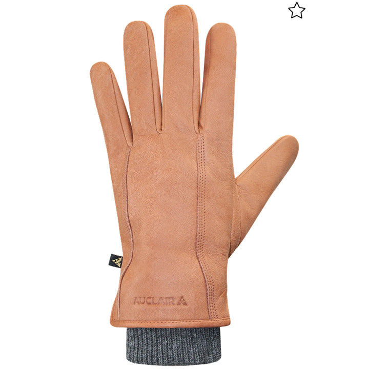 Auclair Aiden Gloves - Men