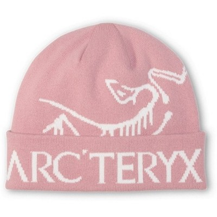 Bonnet Arc'teryx Bird Word