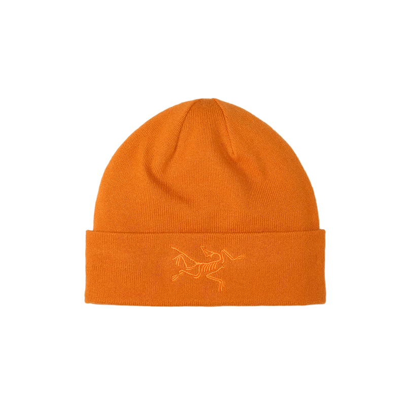 Bonnet brodé avec oiseau d'Arc'teryx